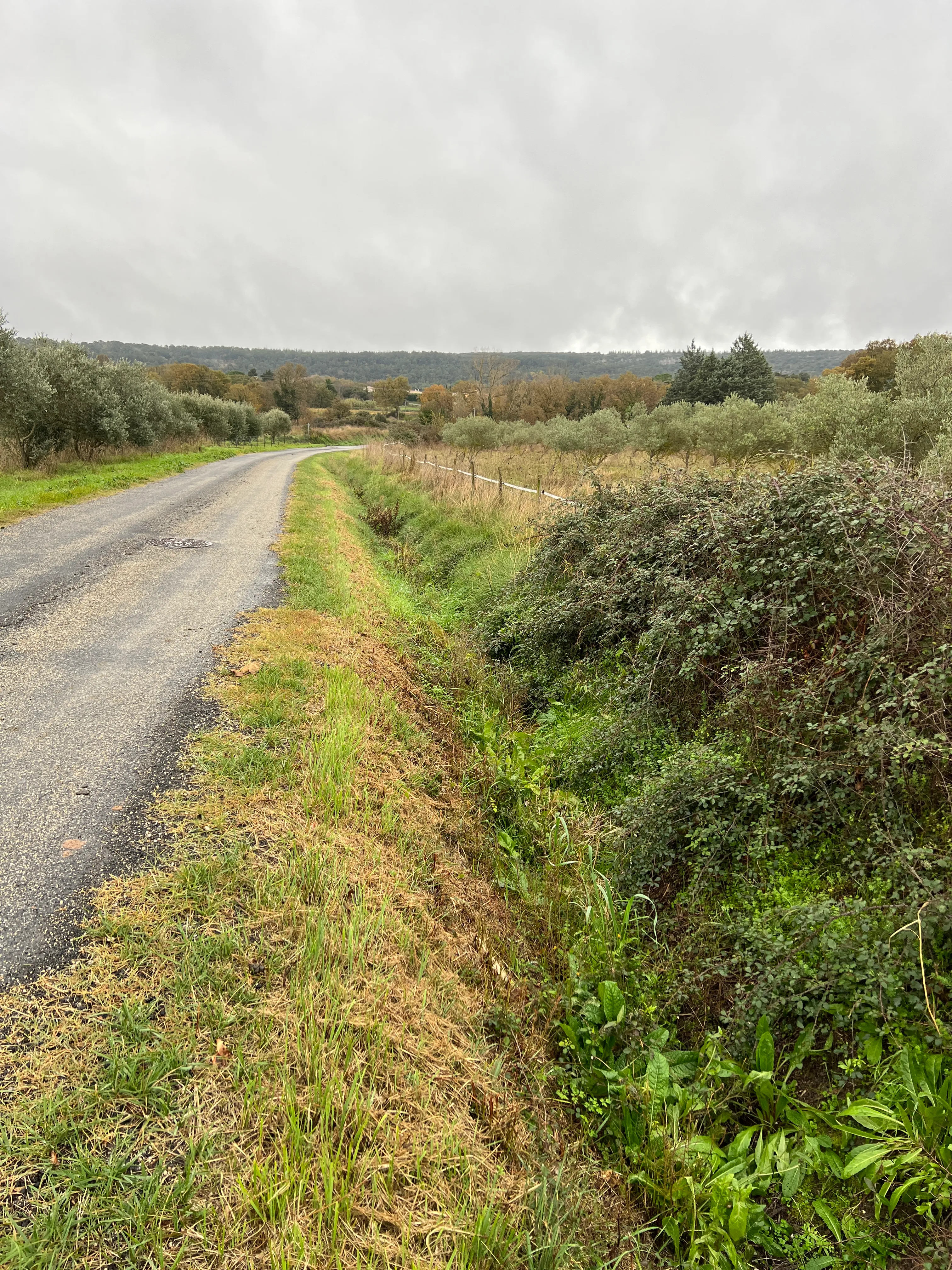 Chemin des Canabières