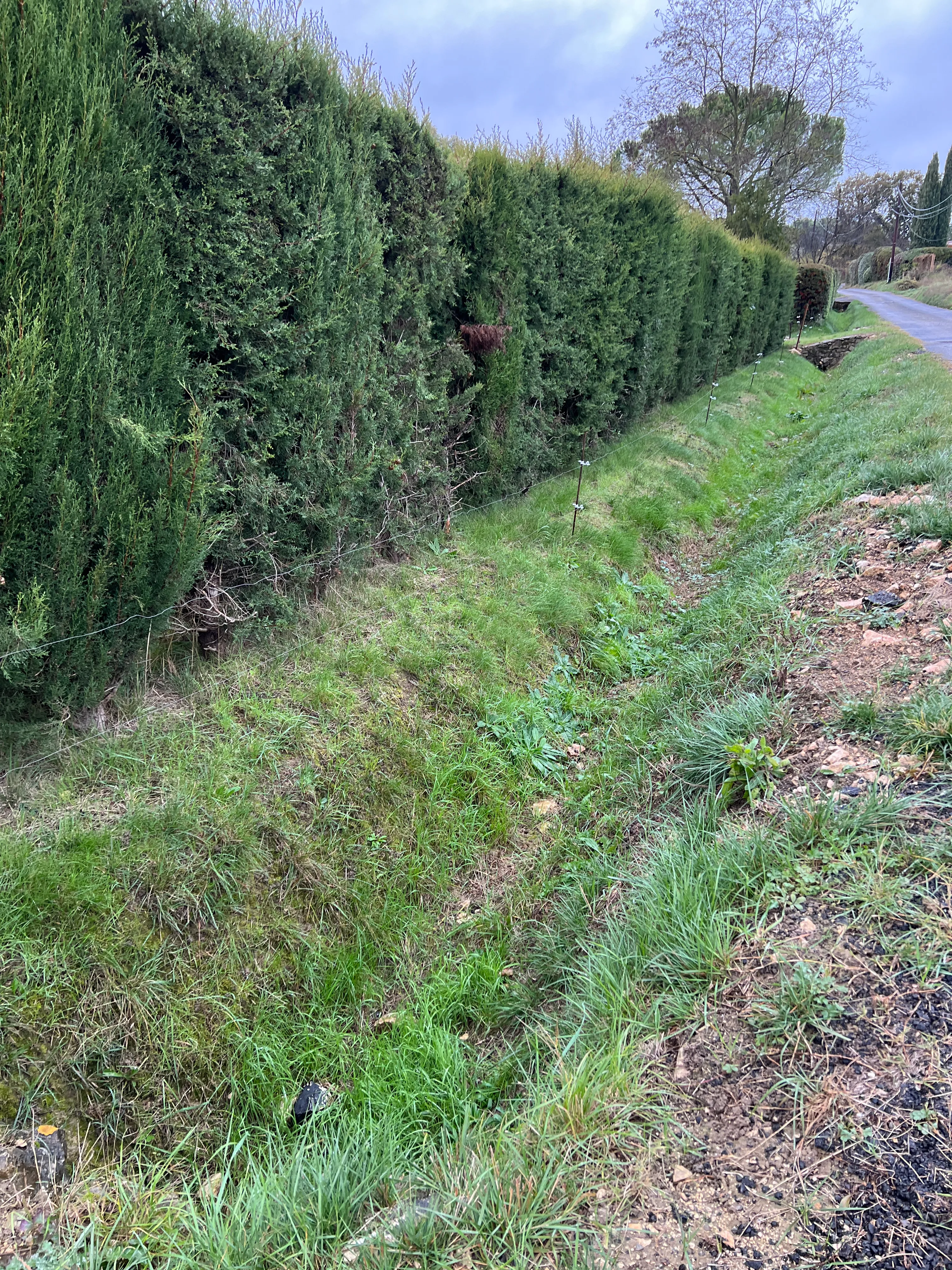 Chemin des Canabières