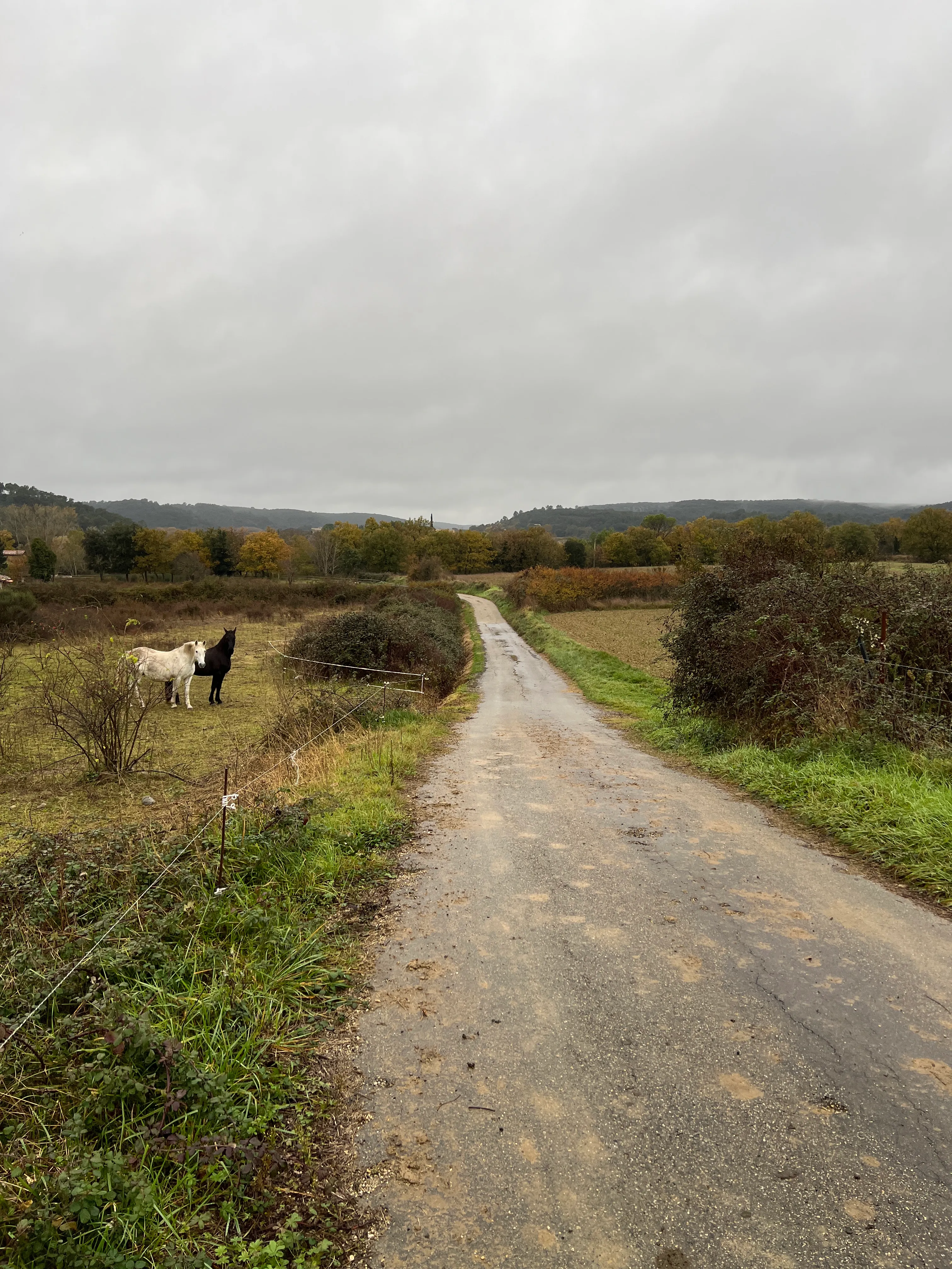 Chemin des Fonds
